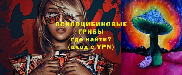 ПСИЛОЦИБИНОВЫЕ ГРИБЫ Алексеевка