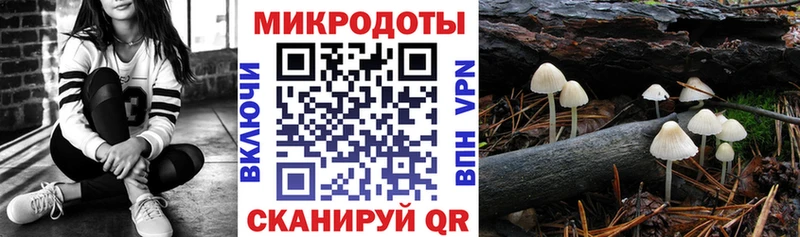 mega как зайти  это наркотические препараты  Галлюциногенные грибы Magic Shrooms  Верхоянск 